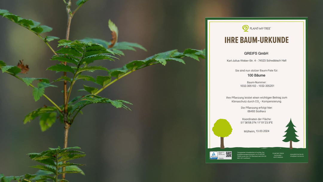 Ein Beitrag zur Nachhaltigkeit in Deutschland durch Partnerschaft mit Plant my Tree